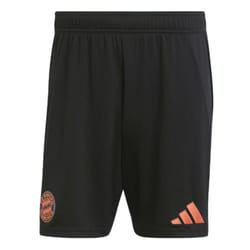 2024-2025 Bayern Munich Away Shorts (Black) - L
