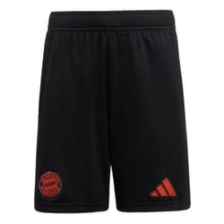 2024-2025 Bayern Munich Away Shorts (Black) - Kids - XXL