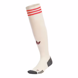 2024-2025 Bayern Munich Third Socks (Linen) - MB