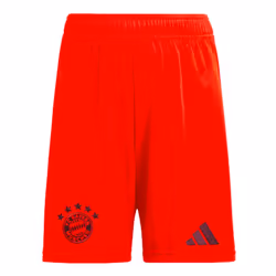 2024-2025 Bayern Munich Home Shorts (Red) - M
