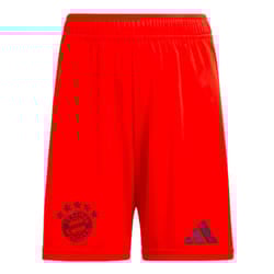 2024-2025 Bayern Munich Home Shorts (Red) - M