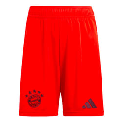 2024-2025 Bayern Munich Home Shorts (Red) - S