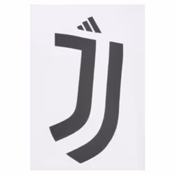 2024-2025 Juventus DNA Graphic Tee (White) - M