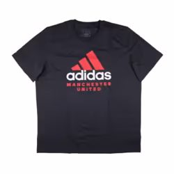 2024-2025 Man Utd Seasonal Graphic Tee (Night Grey) - S