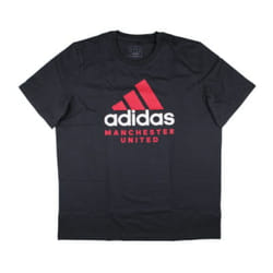 2024-2025 Man Utd Seasonal Graphic Tee (Night Grey) - M