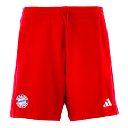 2024-2025 Bayern Munich DNA Shorts (Red) - XL