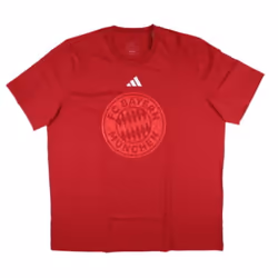 2024-2025 Bayern Munich DNA Graphic Tee (Red) - XL