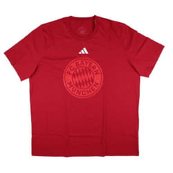 2024-2025 Bayern Munich DNA Graphic Tee (Red) - M