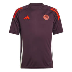 2024-2025 Bayern Munich Training Tee (Shadow Maroon) - Kids - MB