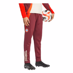 2024-2025 Bayern Munich EU Wind Pants (Shadow Red) - XL