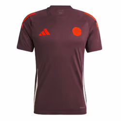 2024-2025 Bayern Munich Training Tee (Shadow Maroon) - XL