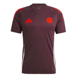 2024-2025 Bayern Munich Training Tee (Shadow Maroon) - L