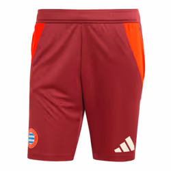 2024-2025 Bayern Munich EU Training Shorts (Shadow Red) - XL