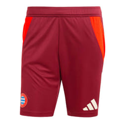 2024-2025 Bayern Munich EU Training Shorts (Shadow Red) - XXL