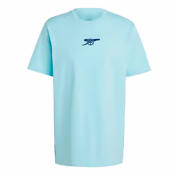 2024-2025 Arsenal Seasonal Tee (Clear Aqua) - S