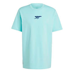 2024-2025 Arsenal Seasonal Tee (Clear Aqua) - S