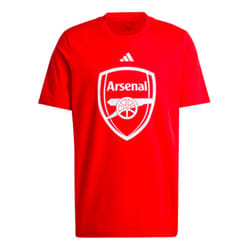 2024-2025 Arsenal DNA Graphic Tee (Red) - M