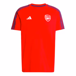 2024-2025 Arsenal DNA Tee (Red) - XS