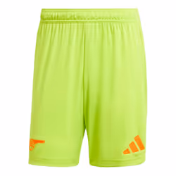 2024-2025 Arsenal Home Goalkeeper Shorts (Yellow) - M