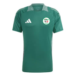2024-2025 Algeria Training Jersey (Green) - L