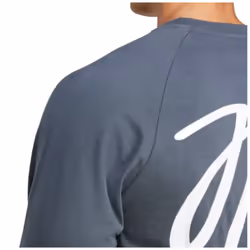 2024-2025 adidas Jude Bellingham Long Sleeve Tee (Grey) - M