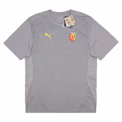 2024-2025 Racing Lens Training Shirt (Cast Iron) - M