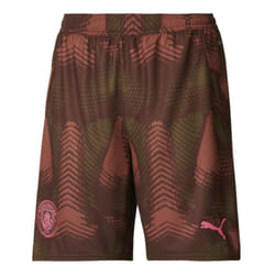 2024-2025 Man City Third Goalkeeper Shorts (Espresso Brown) - M