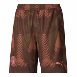 2024-2025 Man City Third Goalkeeper Shorts (Espresso Brown) - L