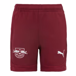 2024-2025 Red Bull Leipzig Training Shorts (Dark Jasper) - S