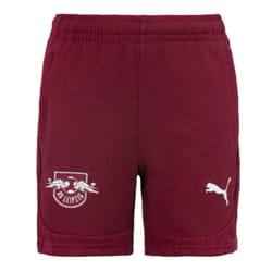 2024-2025 Red Bull Leipzig Training Shorts (Dark Jasper) - S