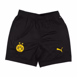 2024-2025 Borussia Dortmund Training Shorts (Black) - L