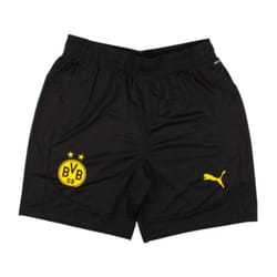 2024-2025 Borussia Dortmund Training Shorts (Black) - L