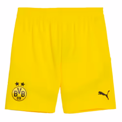2024-2025 Borussia Dortmund Away Shorts (Yellow) - XL