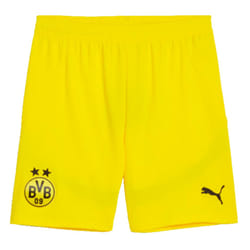 2024-2025 Borussia Dortmund Away Shorts (Yellow) - XXL