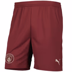Manchester City Third Shorts 2024/25 - XL