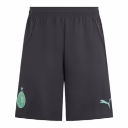 2024-2025 AC Milan Third Shorts (Grey) - S