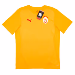 2024-2025 Galatasaray Training Shirt (Orange) - XXL