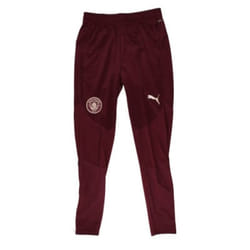 2024-2025 Man City Training Pants (Dark Jasper) - M
