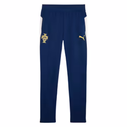 2025-2026 Portugal Training Pants (Persian Blue) - L