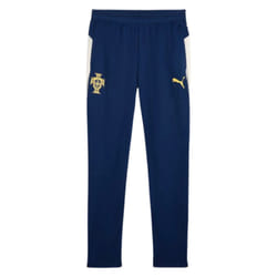 2025-2026 Portugal Training Pants (Persian Blue) - L