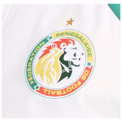 2024-2025 Senegal Prematch Woven Jacket (White) - S