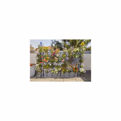 GARDENA NatureUp! Basis Set vertically with irrigation: Plant wall for greening balcony / terraces / patios, set