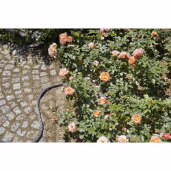 Gardena 18438-20 garden hose 30 m Above ground Black - Additional view 4