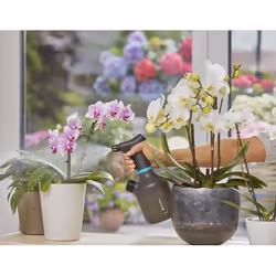 Gardena 11112-20 garden sprayer Hand garden sprayer 1 L - Additional view 4