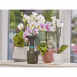 Gardena 11110-20 hand sprayer 0.75 L Black - Additional view 5