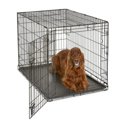 New World Newly Enhanced Single Door 106.68 cm (24-Inch) Dog Crate for Small Dog Breeds; Includes Leak-Proof Pan, Floor Protecting Feet, & New Patente