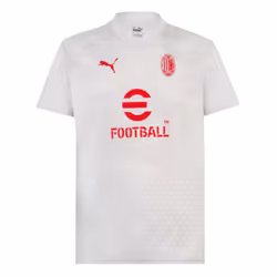 2023-2024 AC Milan Training Jersey (Grey) - S