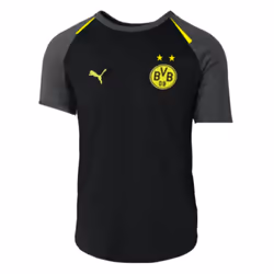2023-2024 Borussia Dortmund Casuals Tee (Black) - XL