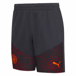 2023-2024 Man City Training Shorts (Strong Grey) - M