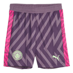 2022-2023 Man City Goalkeeper Shorts (Purple Charcoal) - L